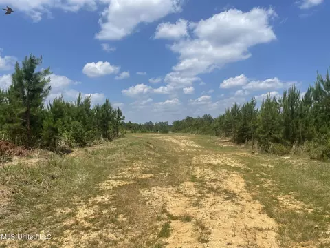 00 Simpson Rd, Camden, MS 39045 photo 6