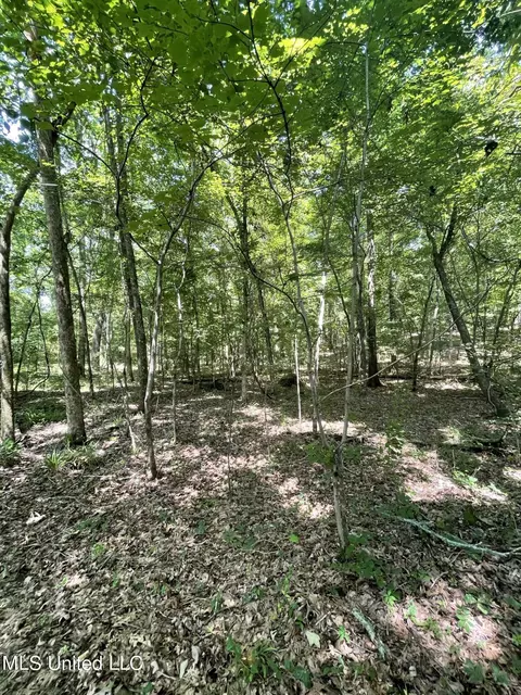 00 Simpson Rd, Camden, MS 39045 photo 17