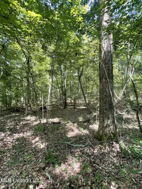 00 Simpson Rd, Camden, MS 39045 photo 18