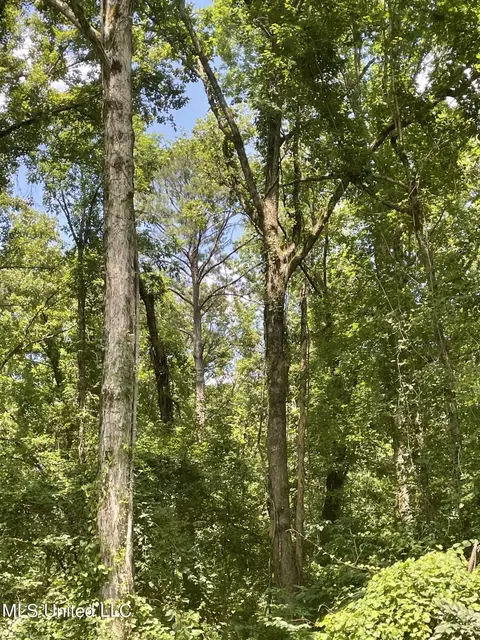 00 Simpson Rd, Camden, MS 39045 photo 14