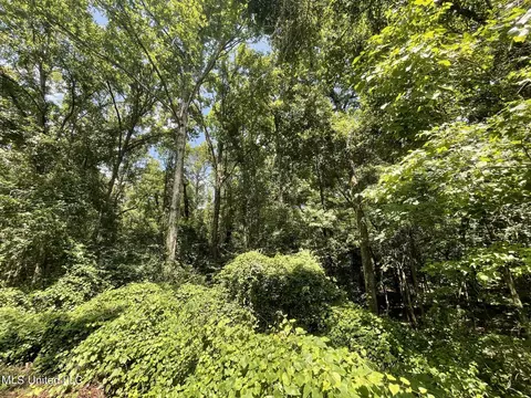 00 Simpson Rd, Camden, MS 39045 photo 15