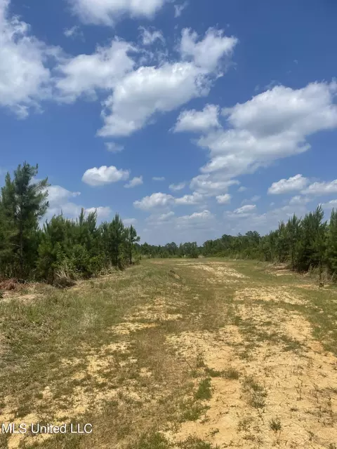00 Simpson Rd, Camden, MS 39045 photo 5