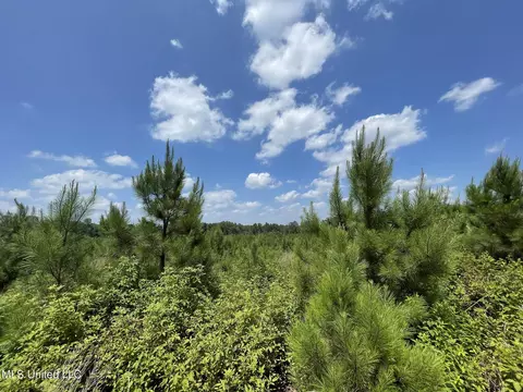 00 Simpson Rd, Camden, MS 39045 photo 9
