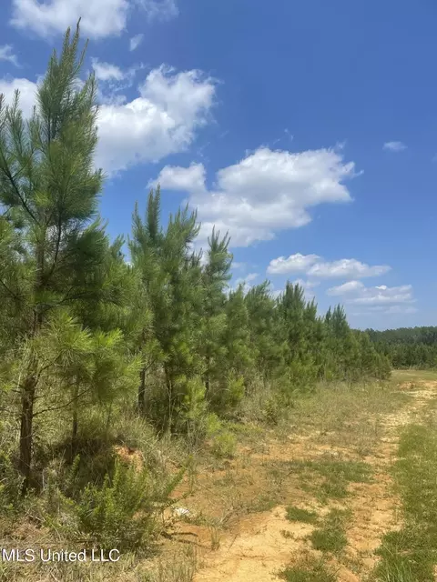00 Simpson Rd, Camden, MS 39045 photo 3