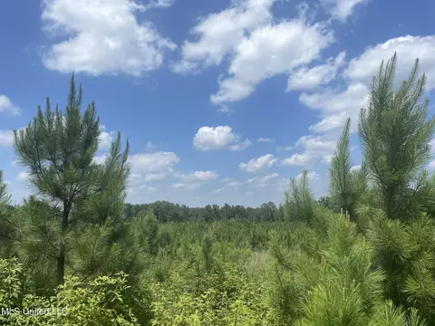 00 Simpson Rd, Camden, MS 39045 photo 8