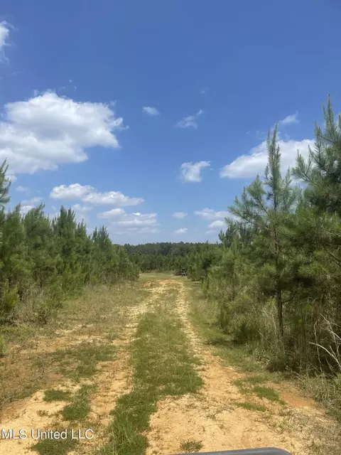 00 Simpson Rd, Camden, MS 39045 photo 4