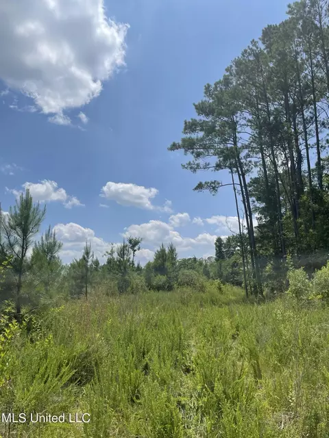 00 Simpson Rd, Camden, MS 39045 photo 11