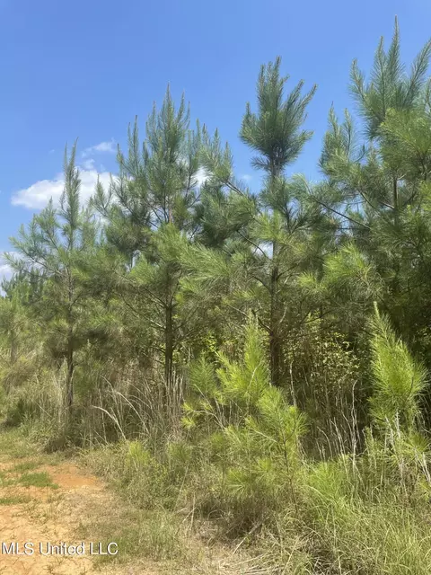 00 Simpson Rd, Camden, MS 39045 photo 2