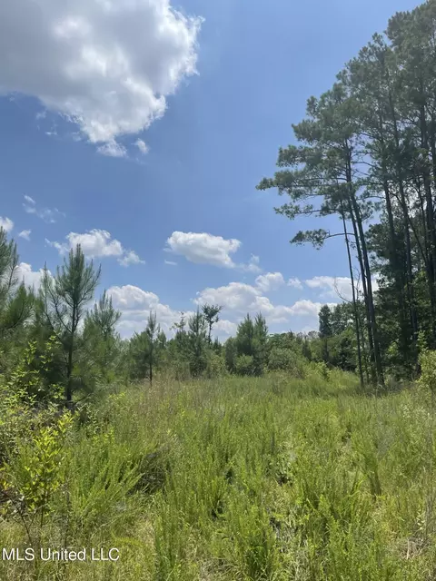 00 Simpson Rd, Camden, MS 39045 photo 12