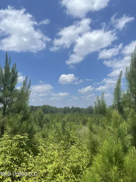 00 Simpson Rd, Camden, MS 39045