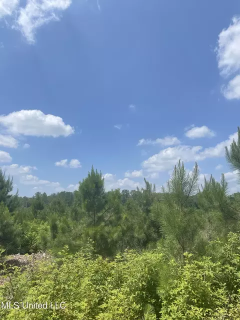 00 Simpson Rd, Camden, MS 39045 photo 7