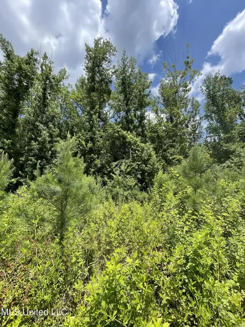 00 Rocky Hill Rd, Camden, MS 39045