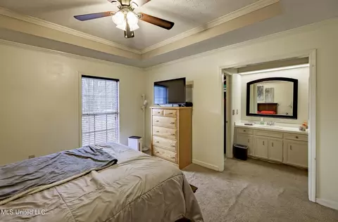539 Traceview Rd, Madison, MS 39110 photo 17