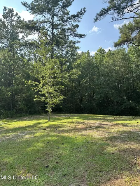 11901 Wire Rd, Vancleave, MS 39565 photo 3