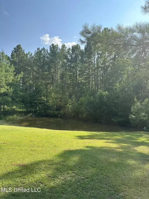 11901 Wire Rd, Vancleave, MS 39565 photo 2