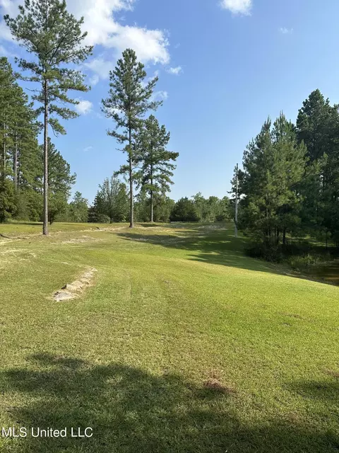 11901 Wire Rd, Vancleave, MS 39565 photo 4