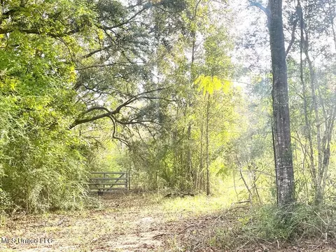 67 Mars Island Rd, Picayune, MS 39466