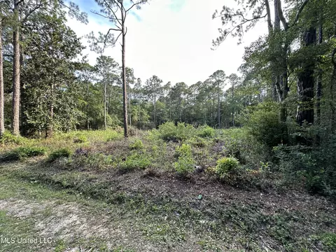 Walnut Street, Ocean Springs, MS 39564