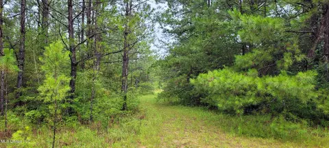 Nhn Black Bear, Lumberton, MS 39455