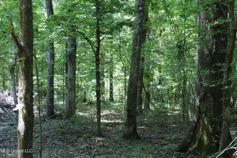 Henderson Rd Road, Bentonia, MS 39040