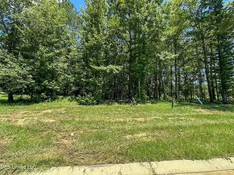 0 Cedar Hill Way, Clinton, MS 39056 photo 2