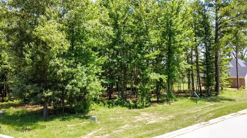 0 Cedar Hill Way, Clinton, MS 39056 photo 3