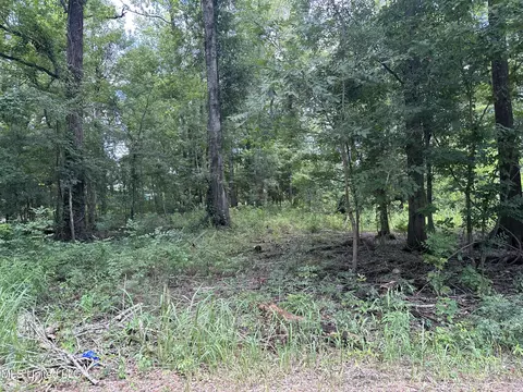 lot222 Hickory Ln, Lucedale, MS 39452 photo 6