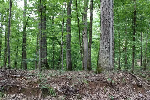 4000 Perry Creek Rd, Yazoo City, MS 39194