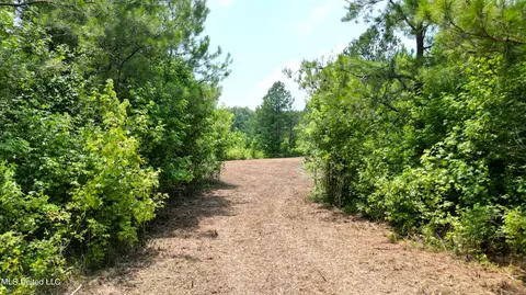Willow Flat Road, Pickens, MS 39146 photo 5