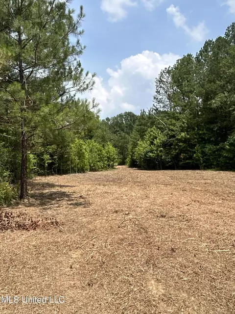 Willow Flat Road, Pickens, MS 39146 photo 12