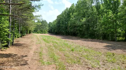 Willow Flat Road, Pickens, MS 39146 photo 7