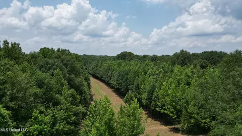 Willow Flat Road, Pickens, MS 39146 photo 4