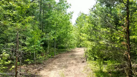 Willow Flat Road, Pickens, MS 39146 photo 2