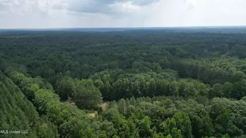 Willow Flat Road, Pickens, MS 39146 photo 8