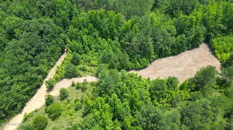 Willow Flat Road, Pickens, MS 39146 photo 6