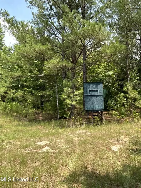 Willow Flat Road, Pickens, MS 39146 photo 11