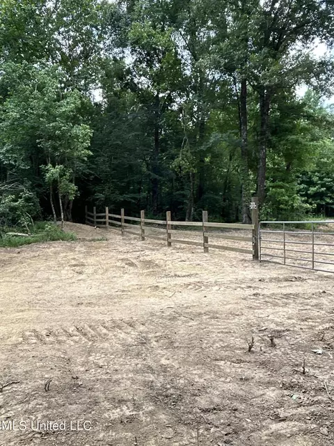 Willow Flat Road, Pickens, MS 39146 photo 10