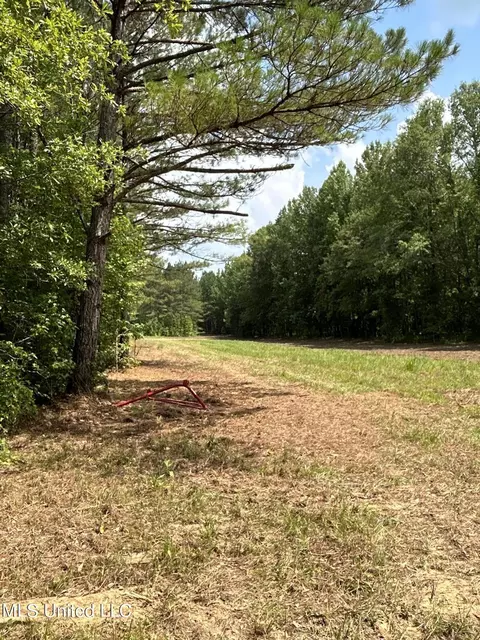Willow Flat Road, Pickens, MS 39146 photo 14