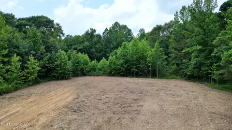Willow Flat Road, Pickens, MS 39146 photo 3