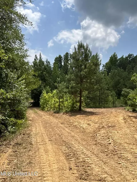Willow Flat Road, Pickens, MS 39146 photo 13