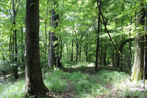 4001 Perry Creek Rd, Yazoo City, MS 39194