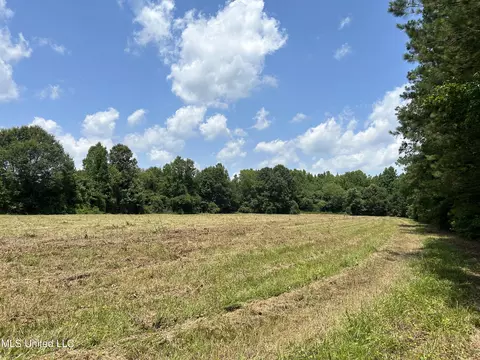 Off County Road 51, Myrtle, MS 38650 photo 14