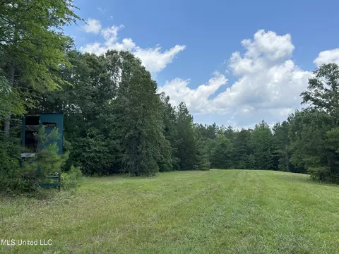 Off County Road 51, Myrtle, MS 38650 photo 32