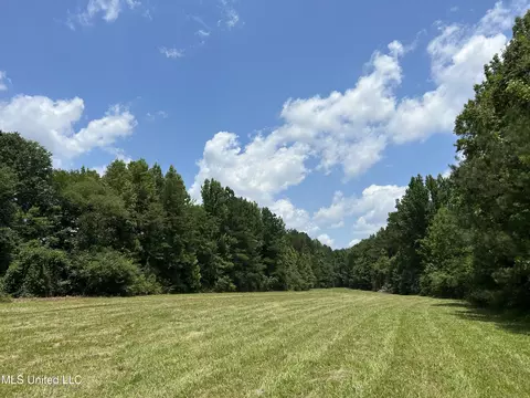 Off County Road 51, Myrtle, MS 38650 photo 10