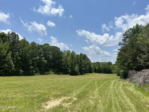 Off County Road 51, Myrtle, MS 38650 photo 17