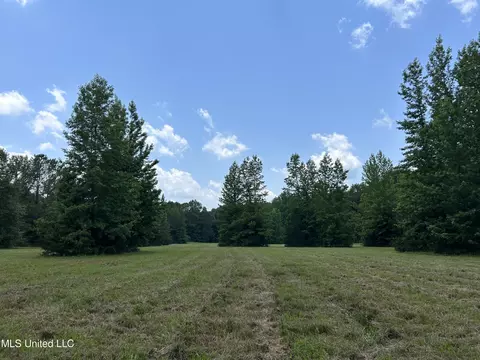 Off County Road 51, Myrtle, MS 38650 photo 35