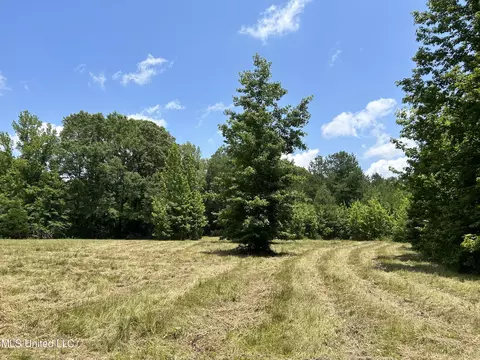 Off County Road 51, Myrtle, MS 38650 photo 18
