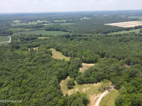 Off County Road 51, Myrtle, MS 38650 photo 38