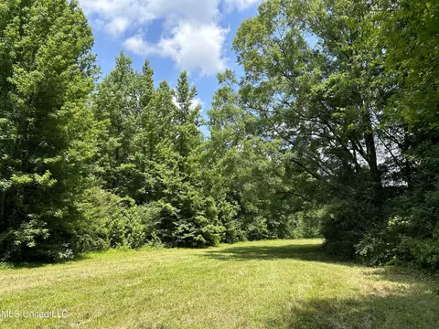 Off County Road 51, Myrtle, MS 38650 photo 6