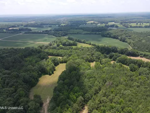 Off County Road 51, Myrtle, MS 38650 photo 50